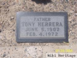 Antonio M "tony" Herrera