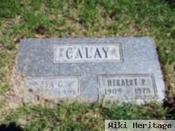 Herbert P Calay