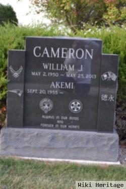 William J. Cameron