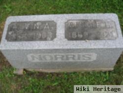 Alvin A Norris