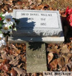 David Daniel Wallace