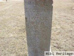 Elizabeth Ann Whitson Wells