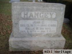 Sarah Ann Barndt Rosenberger Hangey