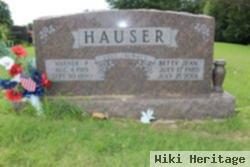 Warner P Hauser