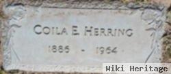 Coila E Herring