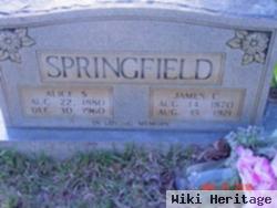 Alice Sanford Springfield