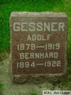 Adolf Gessner