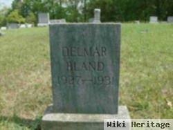 Delmar Bland