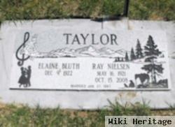 Ray Nielsen Taylor