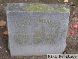 Joel Miner