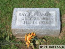 Ray Everett Leasure