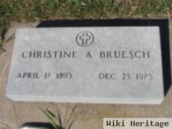 Christine A. Bruesch