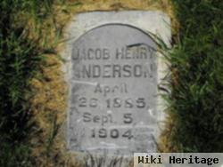 Jacob Henry Anderson