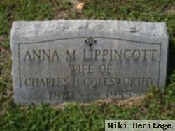 Anna M Lippincott