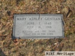 Mary Ashley Gentian