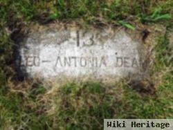 Leg Of Antonia Deam