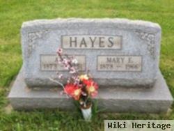 Mary E Hayes