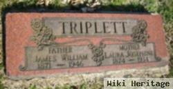 James William Triplett