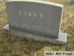 Doris Ann Mclane Evans