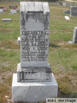 Elizabeth C Hillin