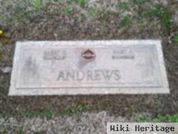 Harry G. Andrews