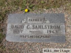 David C. Sahlstrom