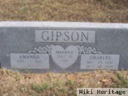 Charles Christopher "charlie" Gipson