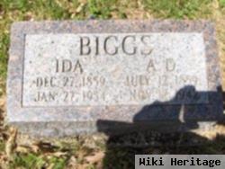 Ida Lucindy Kimes Biggs