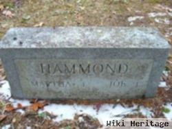 Joe Hammond