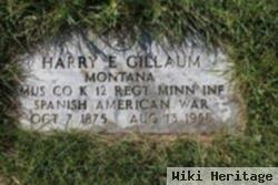 Harry E Gillaum