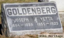 Joseph J. Goldenberg