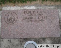 David P Giese