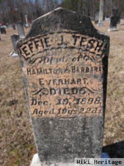 Effie J. Everhart Tesh