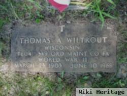 Thomas Albert Wiltrout