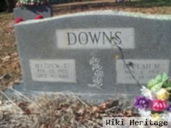 Mathew T Downs