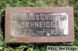 Demorest Burton Schneider