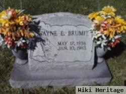 Wayne Eugene Brumit