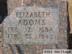 Elizabeth Zigmond Adoms