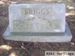 M. J. Briggs