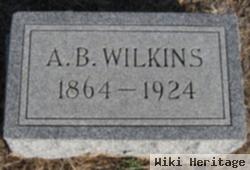 Andrew Braugh Wilkins