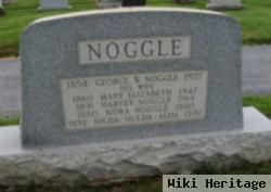 Alda Noggle