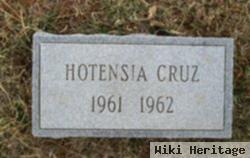 Hortensia Cruz