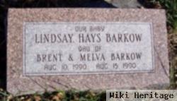 Lindsay Hays Barkow