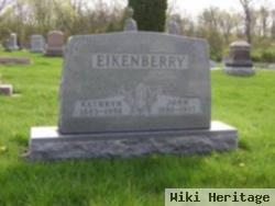 John Eikenberry