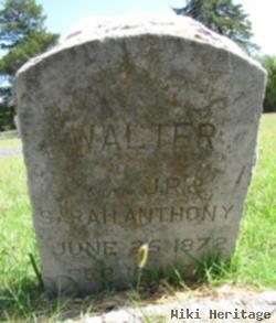 Walter Anthony