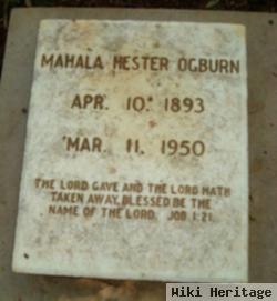 Mahala Hester Ogburn