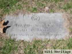 David W Lenz