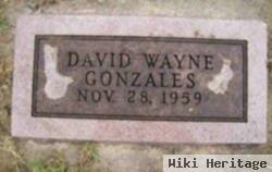 David Wayne Gonzalez