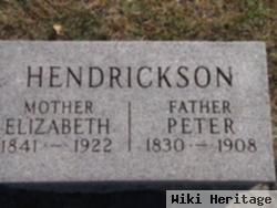 Peter Hendrickson