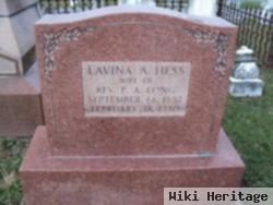 Lavina A Hess Long